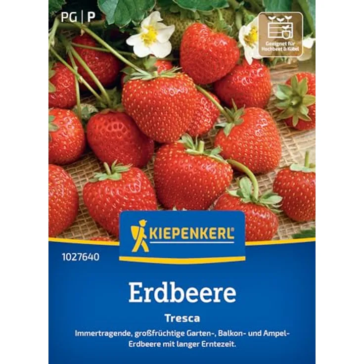 Kiepenkerl Profi-Line Obstsamen Erdbeere Tresca, kompaktwachsende Erdmbeere mit großen aromatischen Früchten, Erntezeit Juli