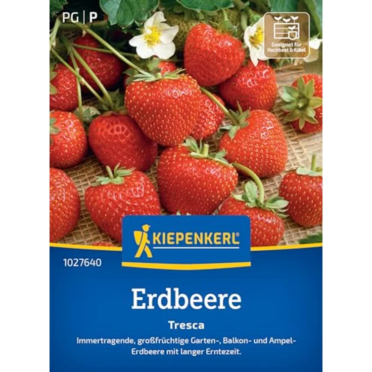 Kiepenkerl Profi-Line Obstsamen Erdbeere Tresca, kompaktwachsende Erdmbeere mit großen aromatischen Früchten, Erntezeit Juli – Bild 1