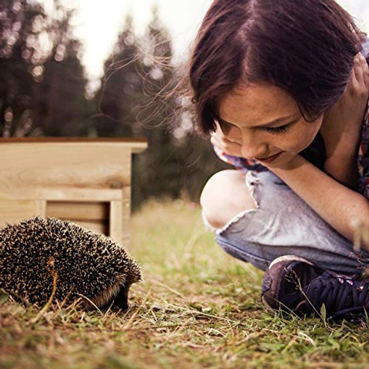 Relaxdays Igelhaus für den Garten, Winterquartier und Unterschlupf, Igelhotel Tannenholz, HBT: 22,5 x 32 x 27 cm, natur – Bild 3