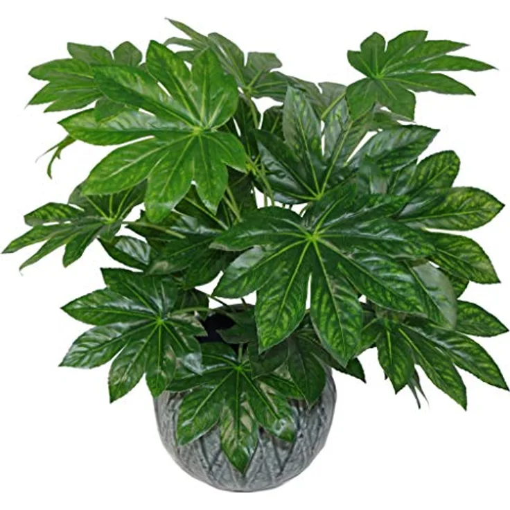 Leaf Künstliche japanische Aralia-Pflanze, 60 cm, Schwarz