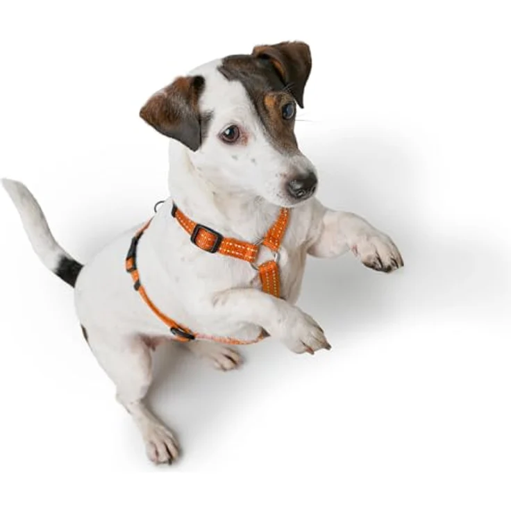 HUNTER Geschirr Tripoli S, kleines Nylon-Geschirr für kleine Hunde mit Klickverschluss und reflektorischen Streifen, orange – Bild 5