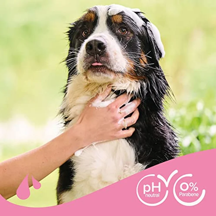 beaphar - Entfilzungs-Shampoo für Hunde - 250 ml – Bild 5