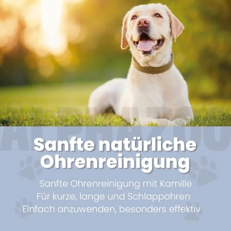 alphazoo Lauscher-Auf Ohrenreiniger für Hunde, 100 ml Natur-Ohrentropfen gegen Entzündungen, Milben, Pilz & Juckreiz, sanfte Schmalz- & Geruchsentfernung – Bild 2