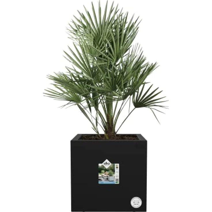 Elho Vivo Next Quadrat 30 - Übertopf für Innen & Außen - Ø 29.5 x H 29.5 - Living Schwarz – Bild 3