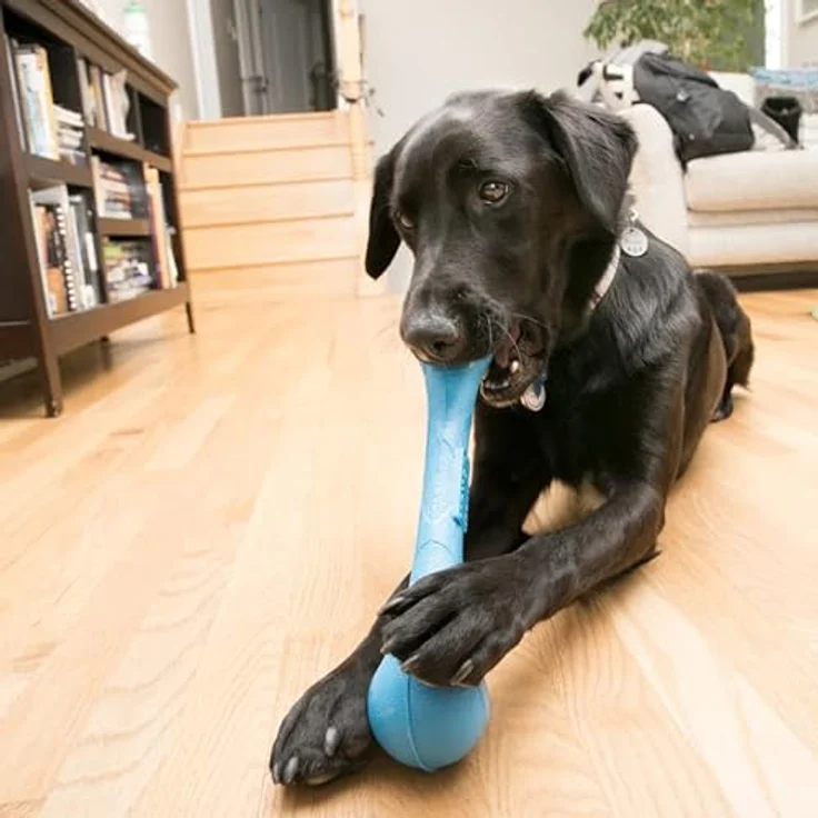 KONG SqueakStix Large, Tierspielzeug mit Echtholz-Kauen für sicheres Hundespielzeug – Bild 2