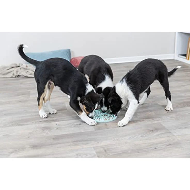 TRIXIE Antischlingnapf Junior Lickn'Snack Schleckplatte, Futternapf für Hunde, mint, spülmaschinengeeignet – Bild 6