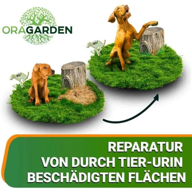 Neu OraGarden Rasenpellets Regenerationsrasen für Schnellkeimenden – Rasensamen für Robusten und Widerstandsfähigen Rasen (10 kg) – Bild 4