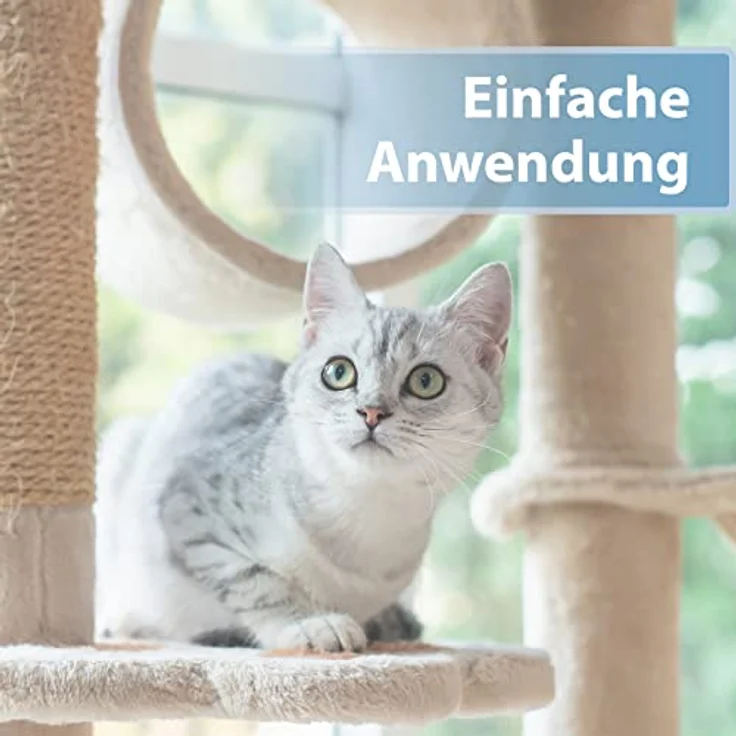 Felisept Ohrpflege Finger-Pads für Katzen, 50 Stück, zur sanften Reinigung und Pflege von Katzenohren, desodorierend und tierärztlich empfohlen – Bild 3