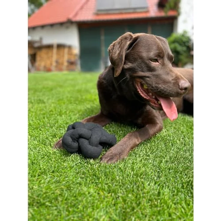 Aumüller Hundespielzeug Knotenball Canvas - Schwarz, zum Kuscheln, Schnüffeln und Apportieren, hochwertige natürliche Baumwolle, Leckereien versteckbar – Bild 2