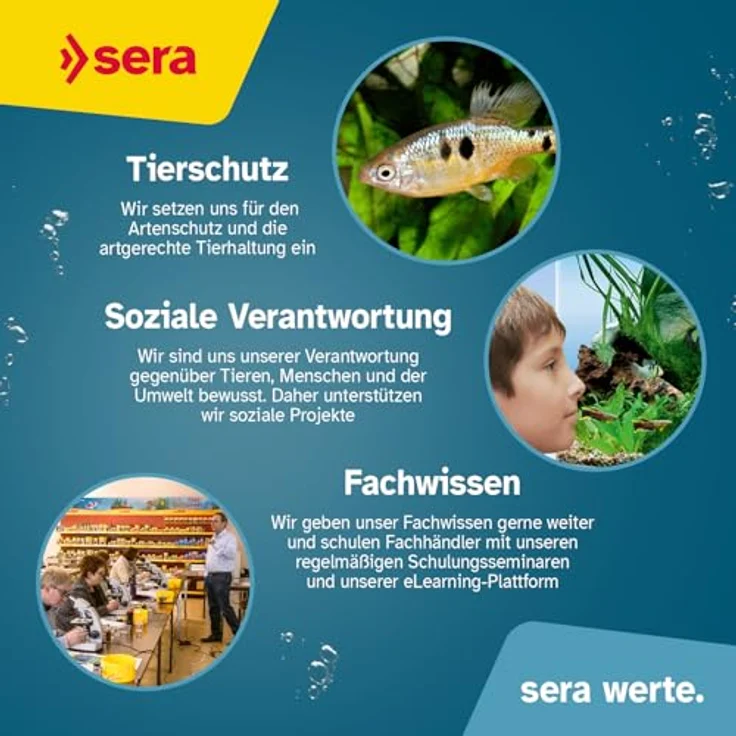 sera reptil Professional Carnivor Nature, 3,8 l Schildkrötenfutter für Wasserschildkröten, reich an Proteinen & Omega-Fettsäuren, unterstützt Knochen- & Panzerwachstum – Bild 4