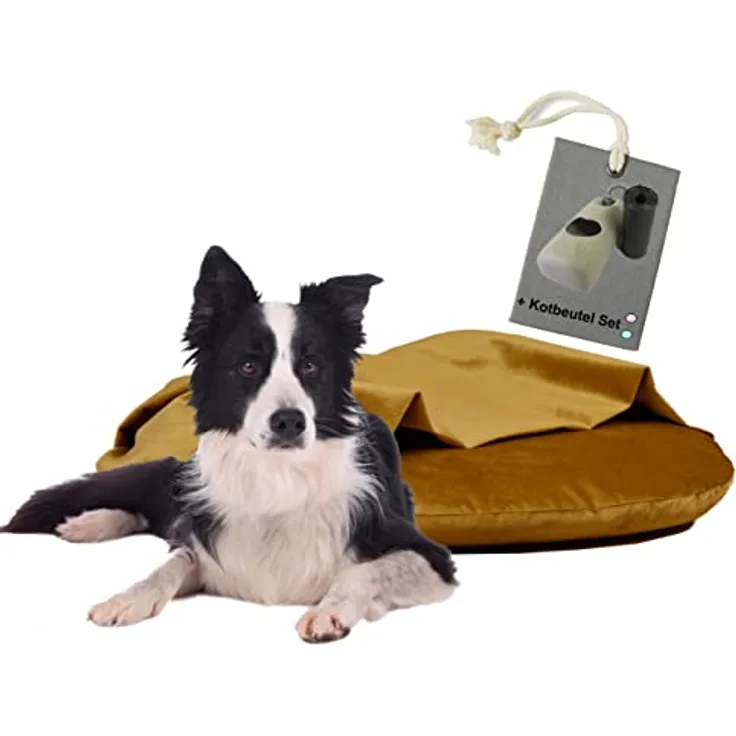Rohrschneider Kuschelinsel Samt Valley mit Hundekotbeutel (L, senf) - Gemütliches Hundebett mit Rückzugsmöglichkeit und pflegeleichtem Samtstoff