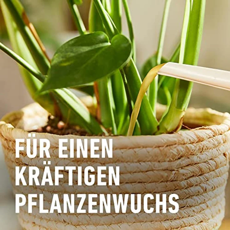COMPO BIO Grünpflanzendünger und Palmendünger, Flüssig-Dünger mit 100% natürlichen Inhaltsstoffen, 500 ml, für gesunde Pflanzenentwicklung und hohen Eisen- sowie Magnesium-Anteil – Bild 5