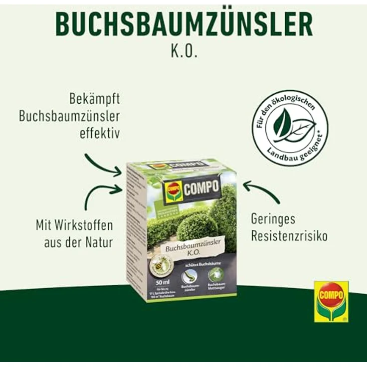 COMPO Buchsbaumzünsler K.O 50 ml – Bild 2