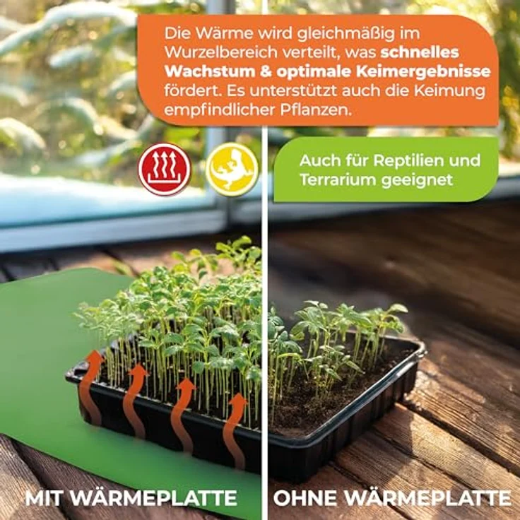 Bio Green Bio Green Anzucht Wärmeplatte, grün, flexibel, 30 x 60 cm, – Bild 5