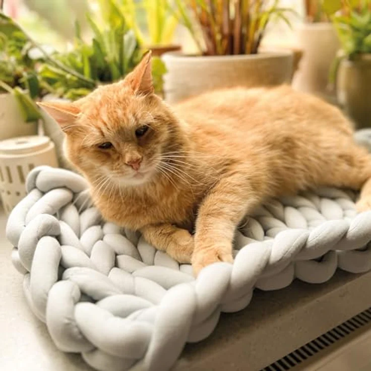 Aumüller Fensterbankliege für Katzen - Katzenbett aus Grobstrick - Grau, gemütlicher Ruheplatz mit erhöhtem Rand – Bild 3