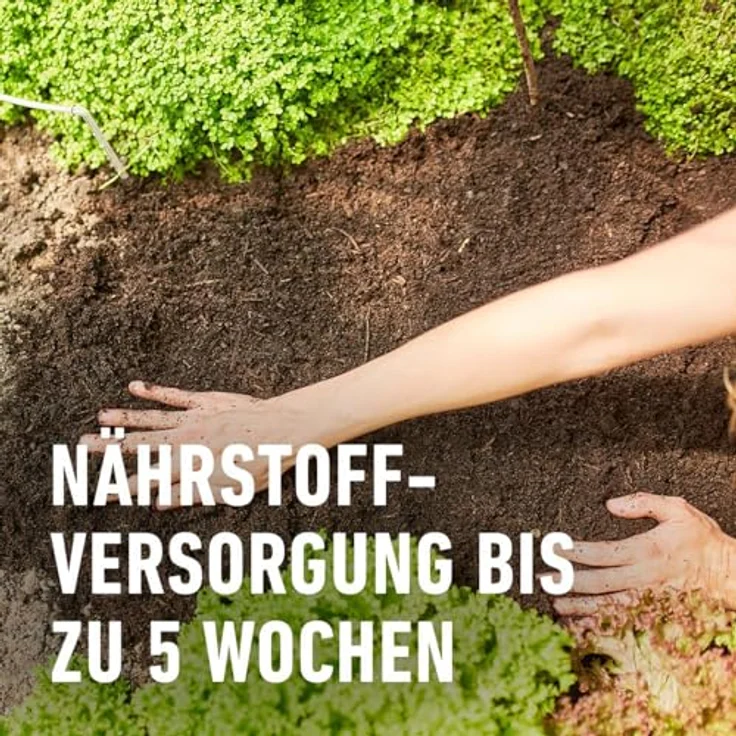 COMPO® BIO Tomaten- und Gemüseerde torffrei, 40 l – Bild 4