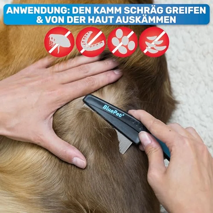 BluePet Flohkamm + Flohkarte, Effektiv gegen Flöhe, Läuse & Zecken, sanfte abgerundete Zinken aus rostfreiem Edelstahl, vielseitig einsetzbar als Hundekamm und Nissenkamm – Bild 4