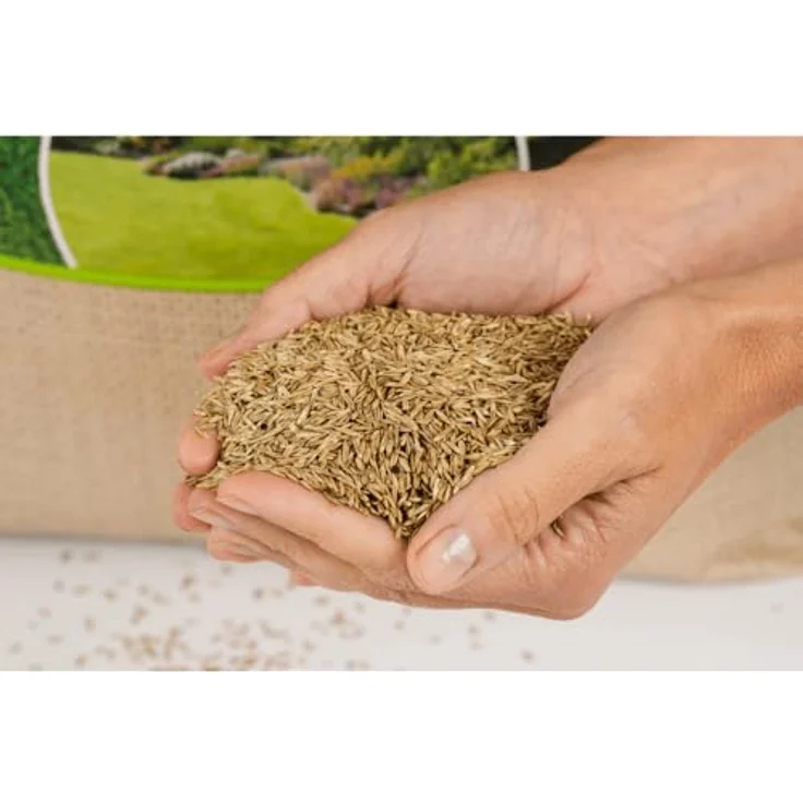 Agrarshop Rasensamen Rasen Universal, 20 kg – Bild 4