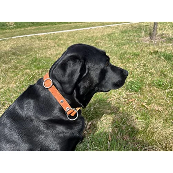 MediMuc Zugstopp Hundehalsband S, braun, 45cm, Lederhalsband mit Zugbegrenzung, einstellbar, robust und wetterfest, für optimale Tragekomfort – Bild 3