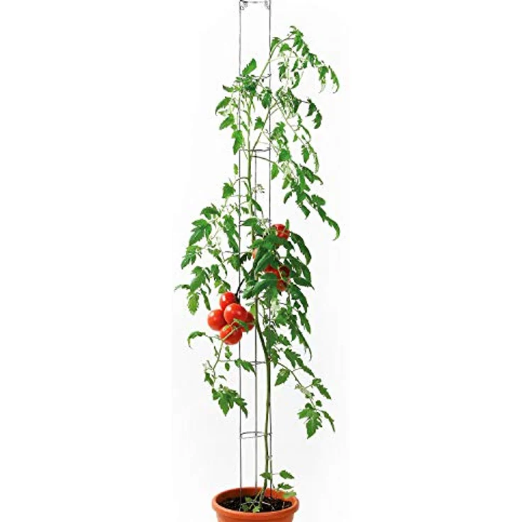 bellissa 1 Stück Tomatenturm - Tomatensäule - Rankhilfe für Tomaten und Gurken - Stütze zum Pflanzen von Gemüse - Ø 9 cm, Höhe 160 cm – Bild 3