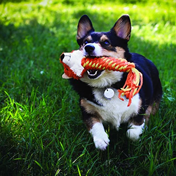 KONG Winders Dog Toy (Animal: Fox) – Bild 2