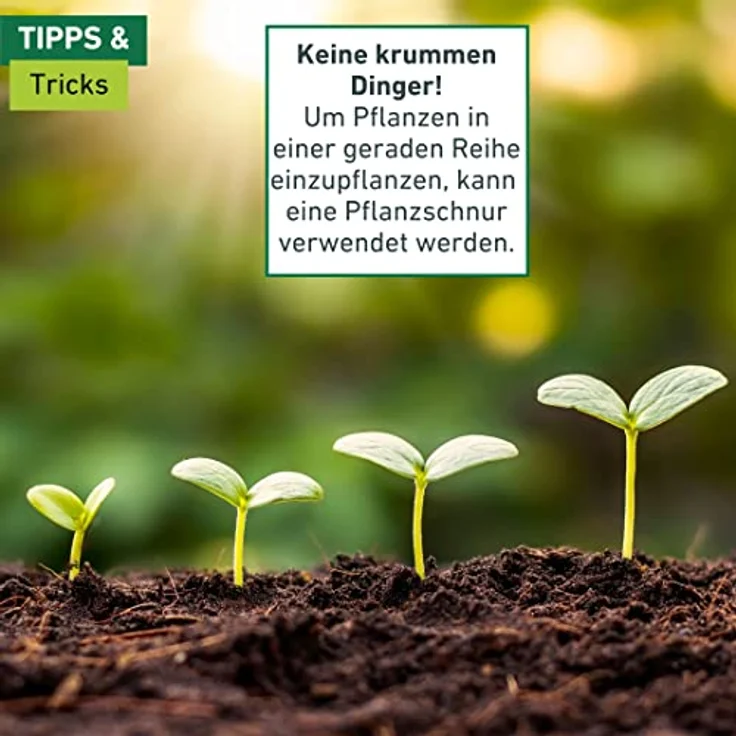 Windhager Samen-Dosierstift – Bild 7