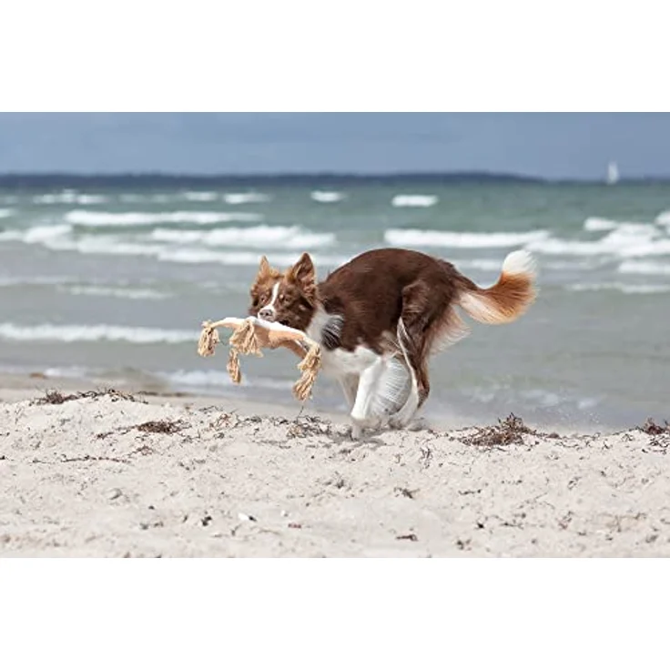 TRIXIE BE Nordic Hundespielzeug, Kuscheltier, geräuschloser Seestern Jane aus Plüsch/Tau - 36046 – Bild 5