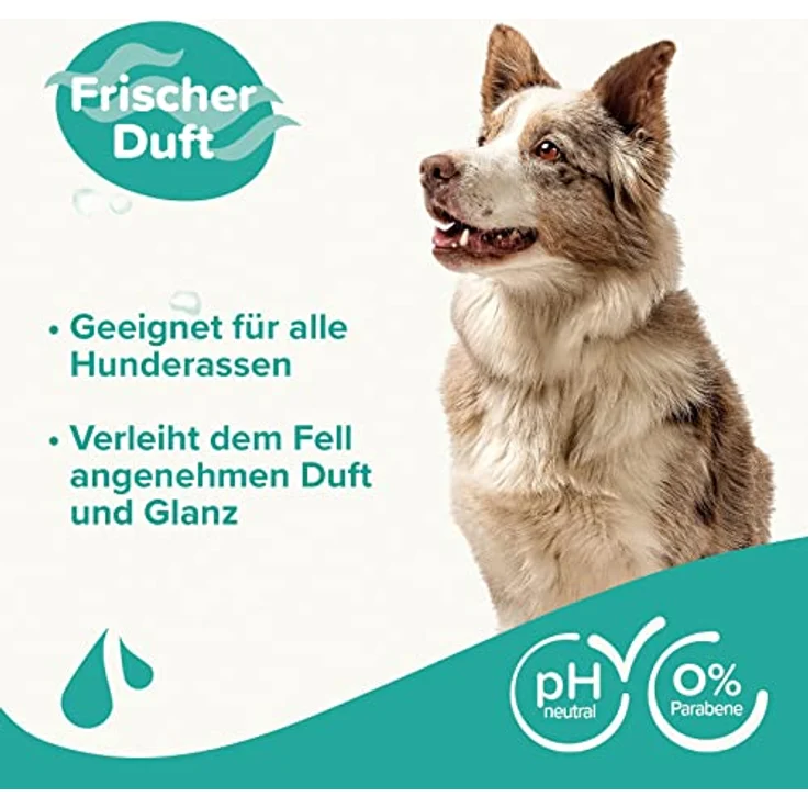 beaphar - Hunde Shampoo Fell-Glanz - 250 ml – Bild 3