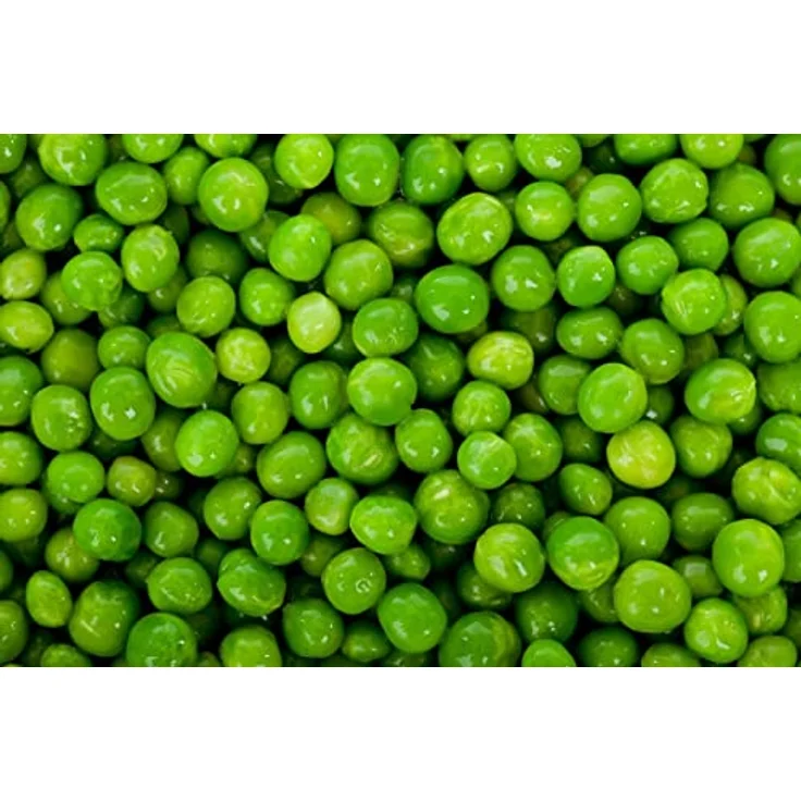Kiepenkerl Markerbse Kelvedon Wonder, dunkelgrün knackig angenehm süß, tiefgefrier Sorte, für Eintöpfe und Gemüsebeilage – Bild 4