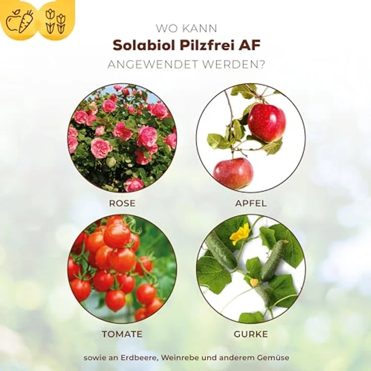 Solabiol Pilzfrei AF, biologisches Pilzmittel gegen Echten Mehltau, 750 ml Pumpsprüher, für Rosen, Obst- und Gemüsearten – Bild 3