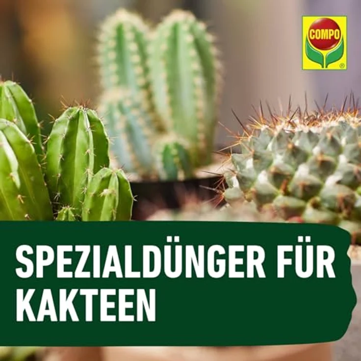Compo Kakteendünger u. Bonsaidünger250 ml – Bild 6
