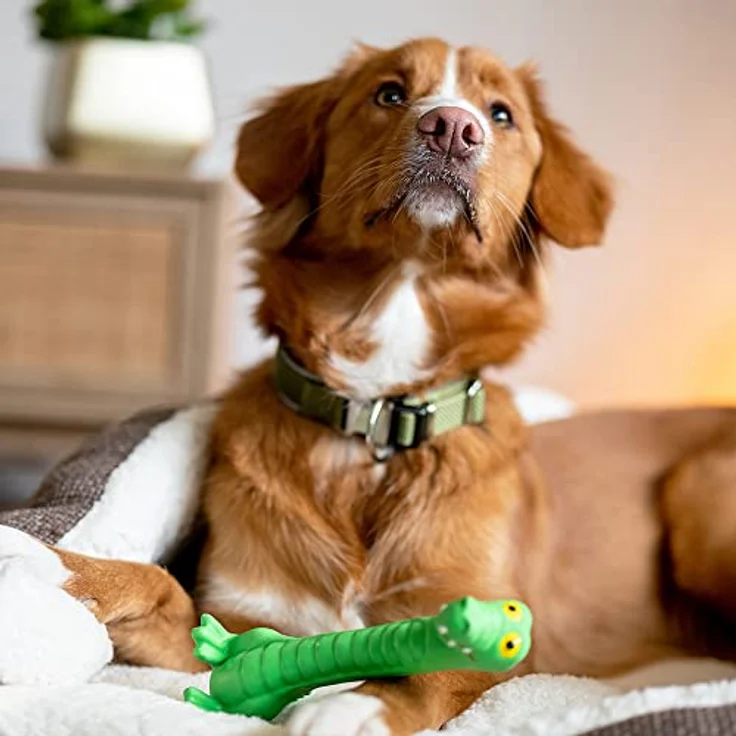 Nobby Latex Lulatsch Krokodil Latex, 18 cm – Bild 3