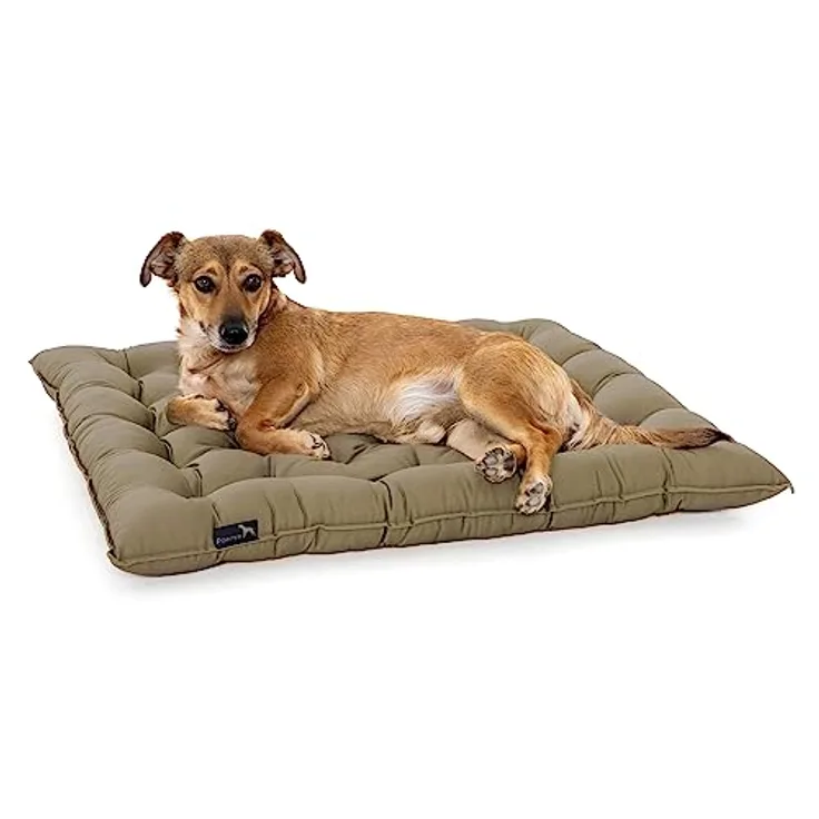 Doctor Bark Pointer | Hundekissen Urban - orthopädisch, waschbar, robust, bequem (M - 50x40 cm, Goldbraun)