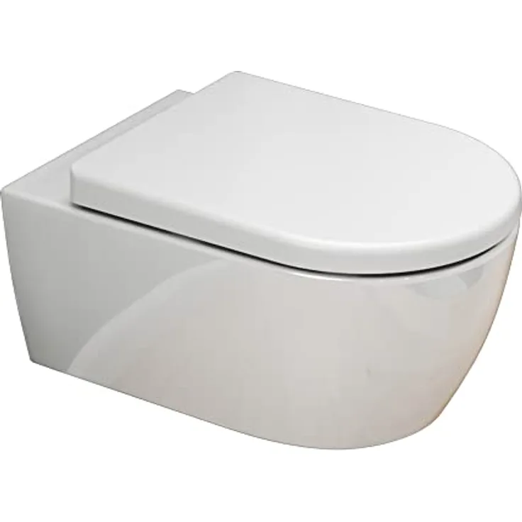 SSWW Design Hänge Wc Spülrandlos Toilette inkl. Wc Sitz mit Softclose Absenkautomatik + Abnehmbar Beschichtete Toilette 54,5cm lang