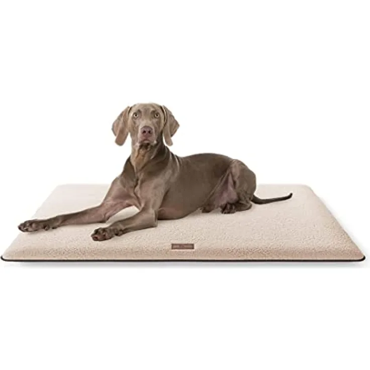 Knuffelwuff kuschelige Hundematte Calliope aus Teddy Material 120x80 Beige - Hundekissen für große, mittelgroße und kleine Hunde - Für Zuhause, Auto, Wohnmobil, Wohnwagen