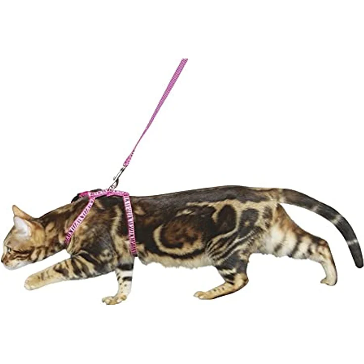 Kerbl 82668 Katzengeschirr mit Leine 120 cm x 10 mm, rosa – Bild 2