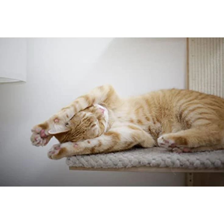 Kerbl Wandkratzbaum Timber, Liegeflächen Kissen, Trittbretter Kratzbrett, 150 cm – Bild 4