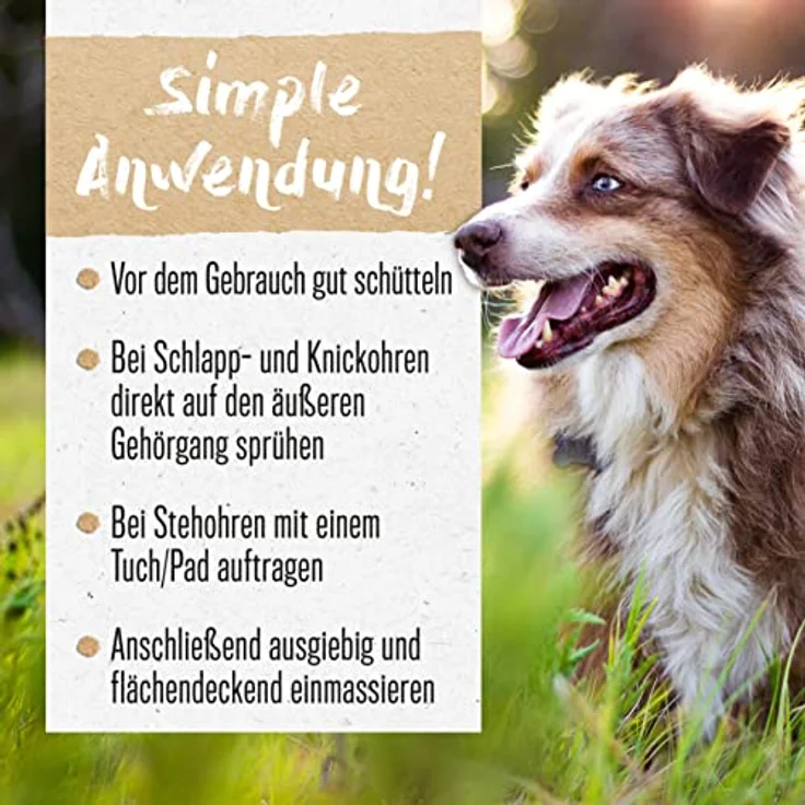 alphazoo Ohrenreiniger Hund, Katze & Pferd 200 ml I Kamille Calendula I Milder Ohrenschmalz Entferner I Ohr Reiniger zur Ohrenpflege oder Ohrenspülung – Bild 3