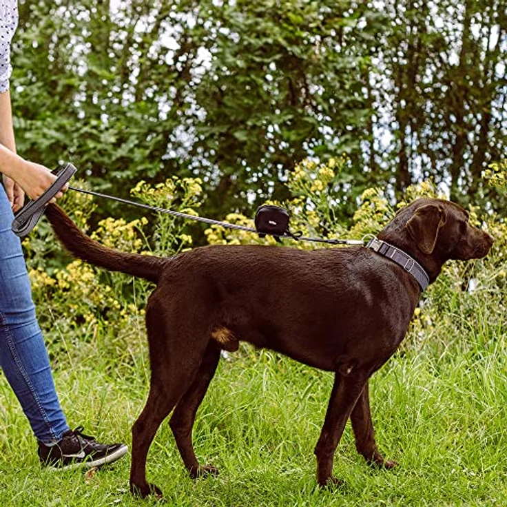 Nobby Halsband Classic Preno Royal, schwarz L: 38-47 cm, B: 20/25 mm, 1 Stück – Bild 3