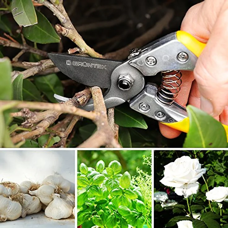 GRÜNTEK Gartenschere PHOENIX 200 mm TEFLON, Bypass Baum-Garten-Astschere 50mm, Rosenschere, Rebschere, Baumschere – Bild 5