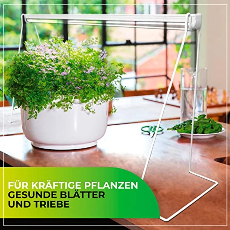 Bio Green Florabooster, Weiß – Bild 3