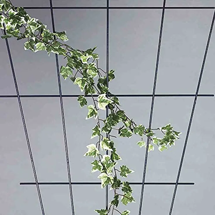 Siena Garden V-Spaliergitter, 150x75cm, 763766