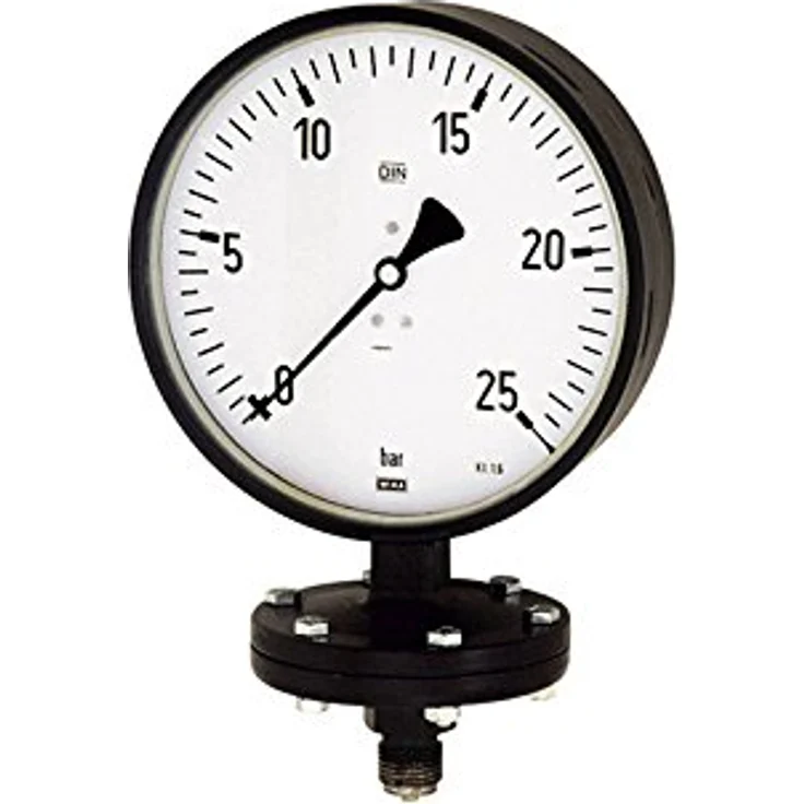 RIEGLER 102585-PL 1911 Plattenfedermano, Robust, G 1/2 Gewinde, 0-1,0 bar, Ø 100 mm, 1 Stück