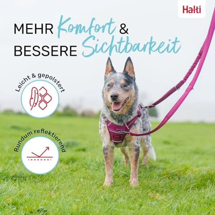 Company of Animals HALTI Anatomy Multifunktionsleine – Doppelführleine mit Ruckdämpfer, reflektierend, für Welpen (Größe L, Grün) – Bild 4