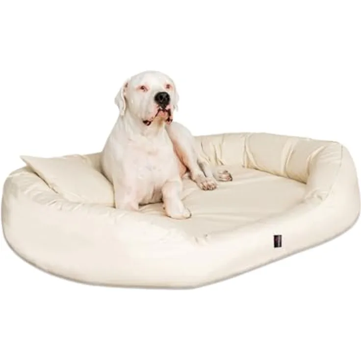 tierlando Orthopädisches Hundebett Sammy - Robuster Polyester - Gr. L - XXXXL Hundesofa Hundekörbchen - Gr. XXL 140 cm - Creme
