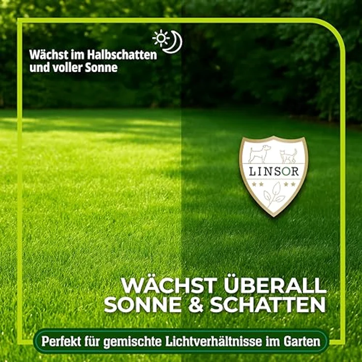 Linsor Zauberrasen Rasensamen schnellkeimend, 1 kg für 50 m², ideal für Neuanlage und Rasenreparatur – Bild 5
