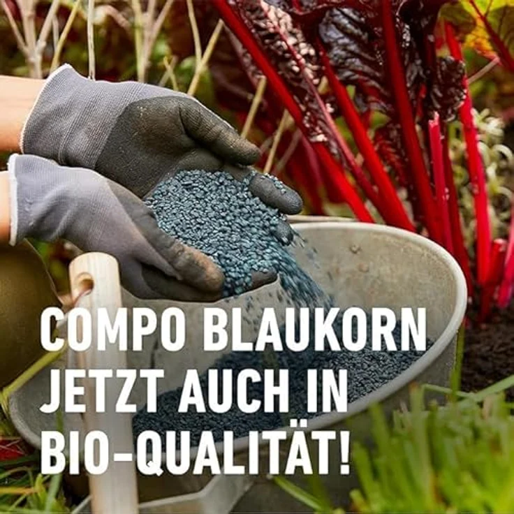 COMPO BIO Blaudünger, Bio-Dünger für Garten- und Balkonpflanzen, universell einsetzbar für Blumen, Gemüse und Obst, 4 kg, blau – Bild 4