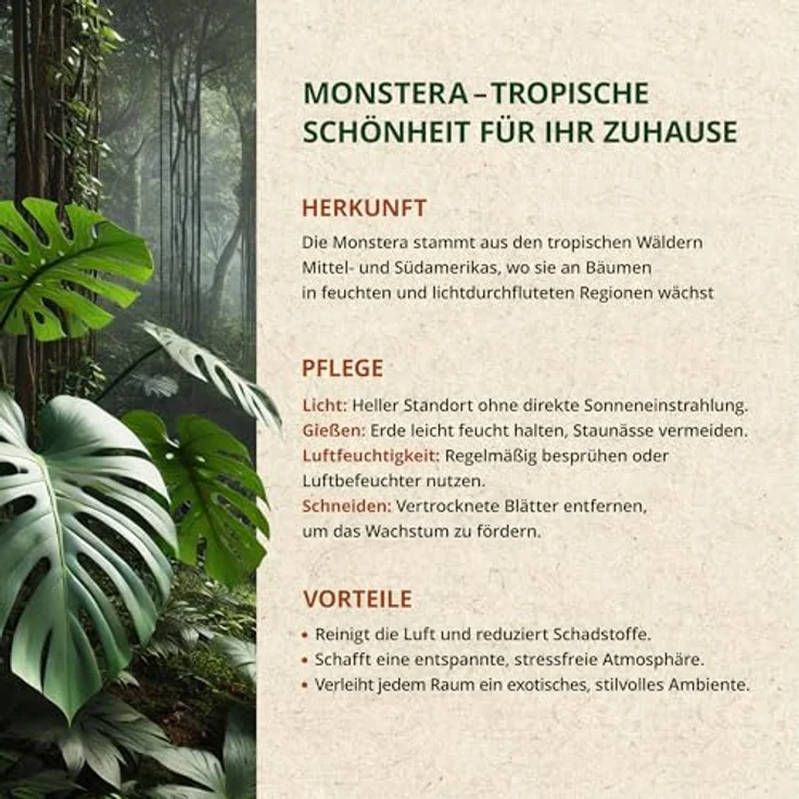 OraGarden Substrat Erde für Monstera, Blumenerde, Karnivorenerde Spezial Premium (9L) - Preisvergleich – Bild 9