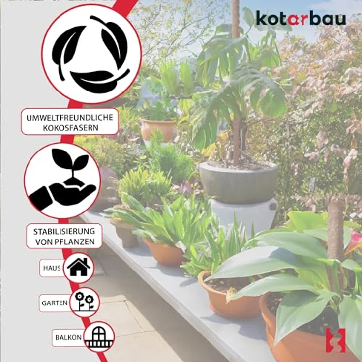 KOTARBAU® 2er Set Moosstab für Monstera, Kokos Natural, ⌀ 3,2 x 80 cm, Rankhilfe für Pflanzen, stabil und dekorativ – Bild 5