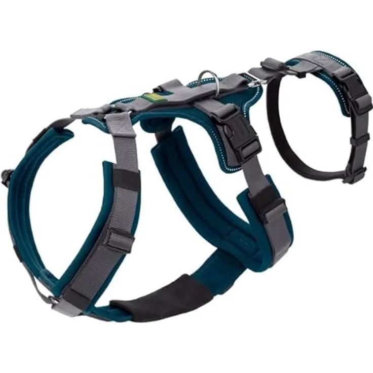 Sicherheitsgeschirr Maldon Farbe Petrol/grau, Größe XS